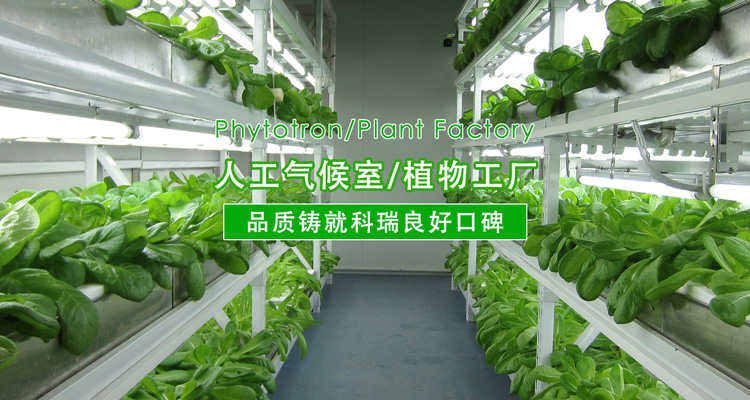 2-http://www.citymetro.com.cn/uploads/190724/1-1ZH416094V41.jpg