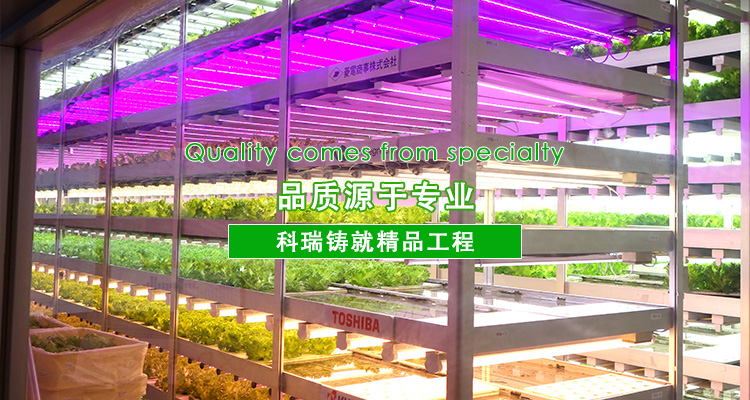 4-http://www.citymetro.com.cn/uploads/allimg/191012/1-191012141R60-L.jpg